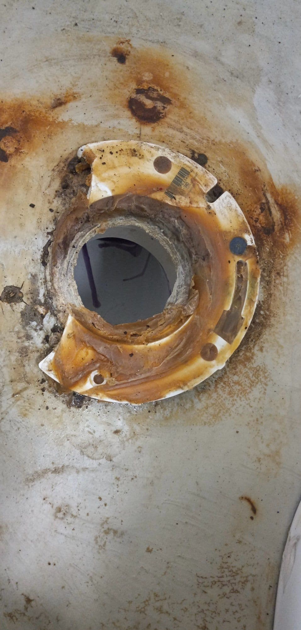Toilet Flange Replacement in Nashville
