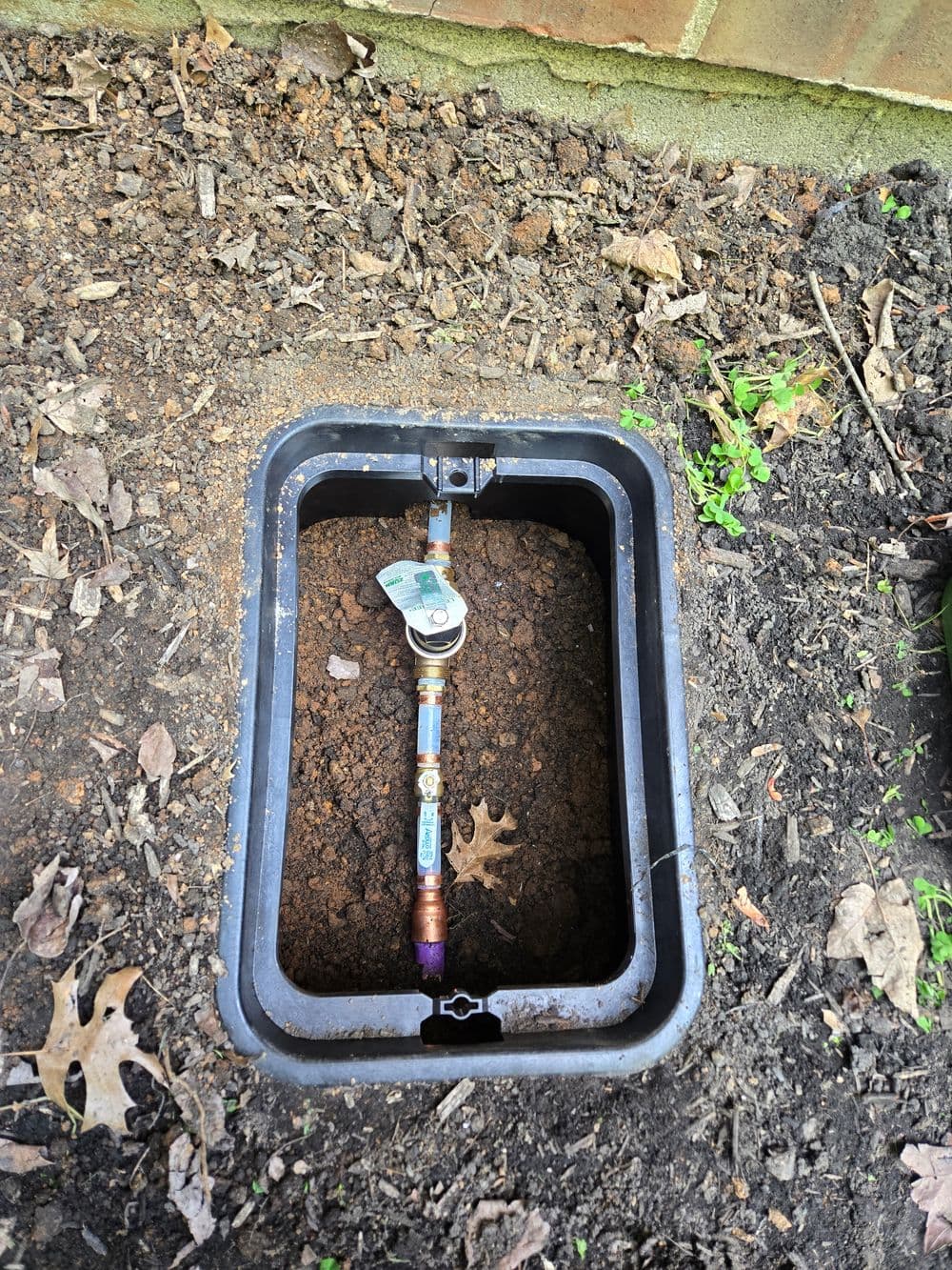 Exposed water meter in a box, surrounded by soil and leaves in a yard.